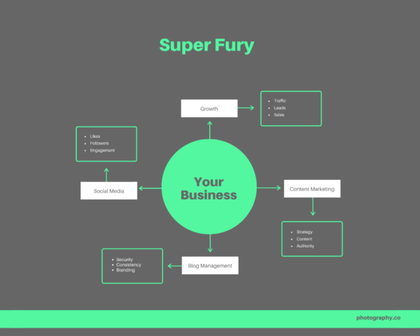 Super Fury